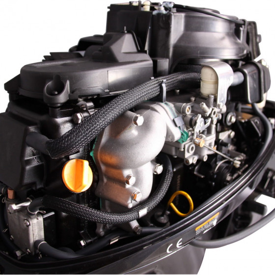 Лодочный мотор  Parsun F13.5A BMS