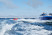 Буксировочный водный аттракцион Wingman Towable 1P, 230118004