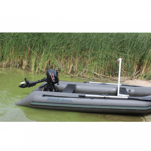 Лодочный мотор Parsun TC3.6 BML
