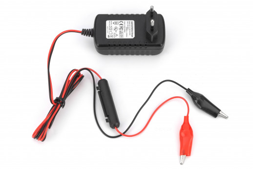 Зарядное устройство для гелевого аккумулятора NIC TS-1012C