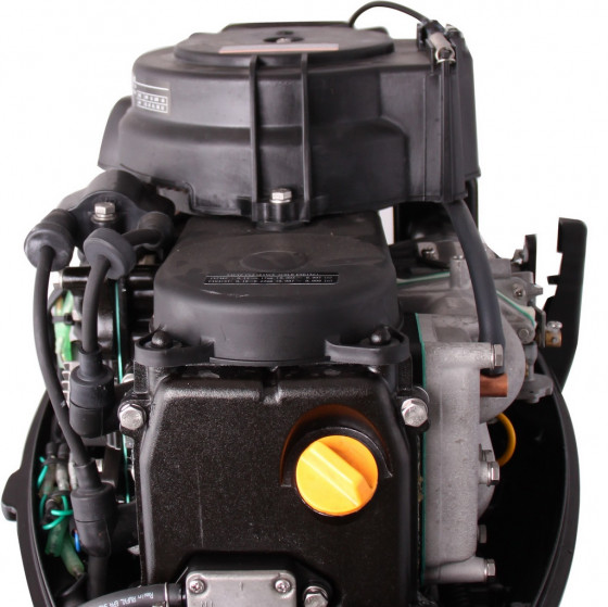 Лодочный мотор Parsun F9.8 BMS DC