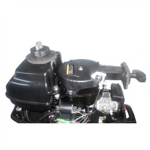 Лодочный мотор Parsun TE5.8 BMS