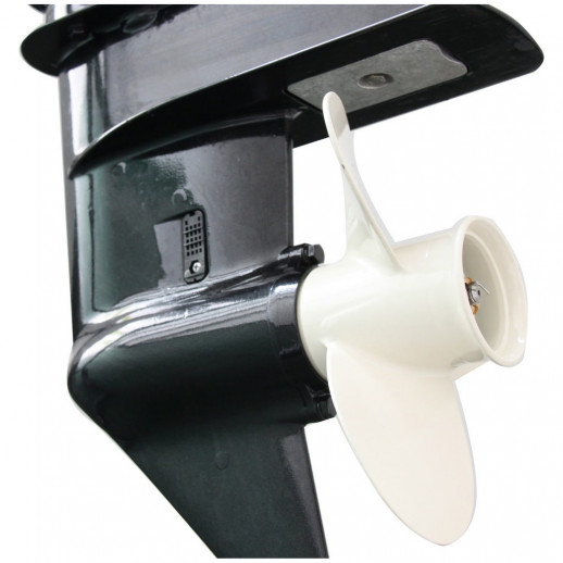 Лодочный мотор Parsun T9.8 BMS